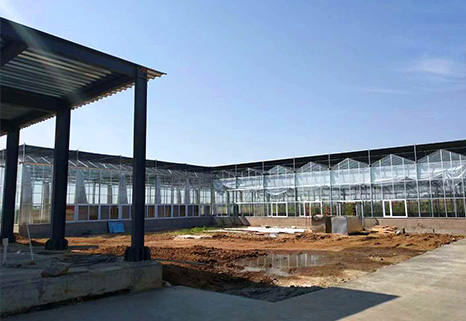 济南玻璃温室工程